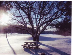 Image description